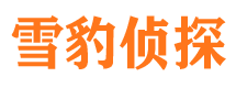 沧浪市侦探公司